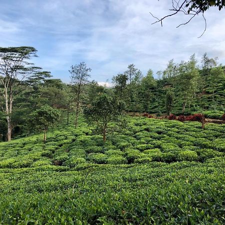 Parisons Plantation Experiences By Abad Hotell Mananthavady Exteriör bild