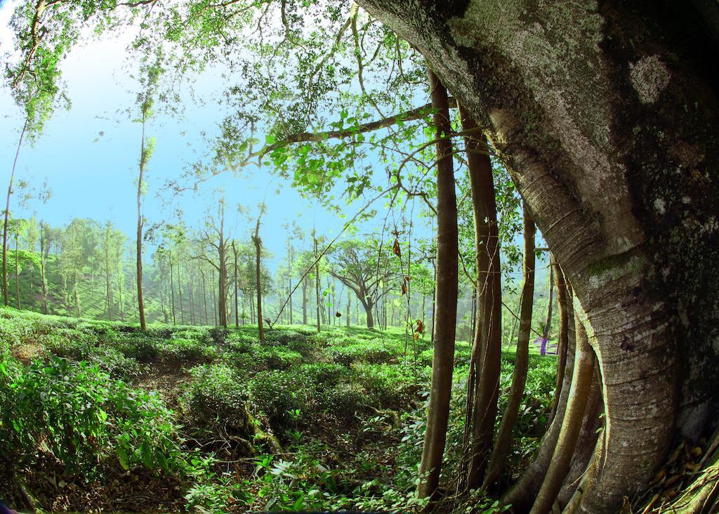 Parisons Plantation Experiences By Abad Hotell Mananthavady Exteriör bild