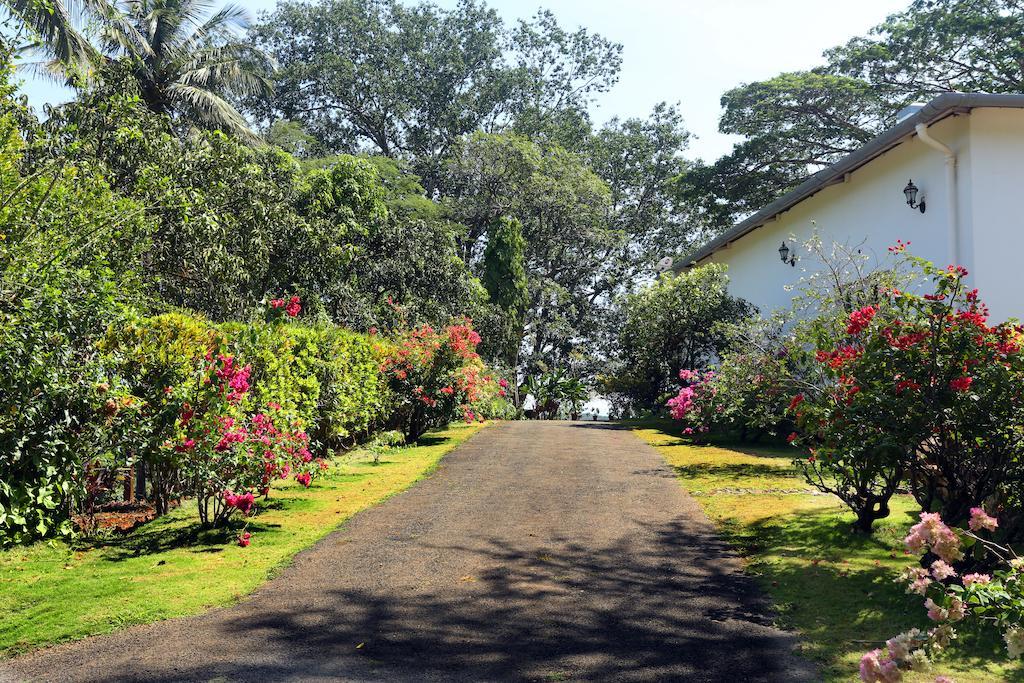 Parisons Plantation Experiences By Abad Hotell Mananthavady Exteriör bild
